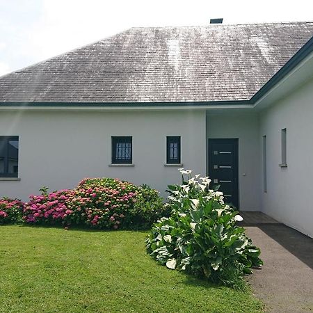 Maison L'Allee Des Arums Oloron-Sainte-Marie Kültér fotó